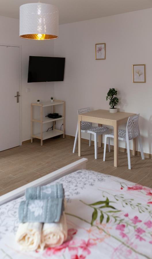 Loc Trotteur Le Pivoine Studio Grand Confort, Gare Sncf De 卢德 外观 照片