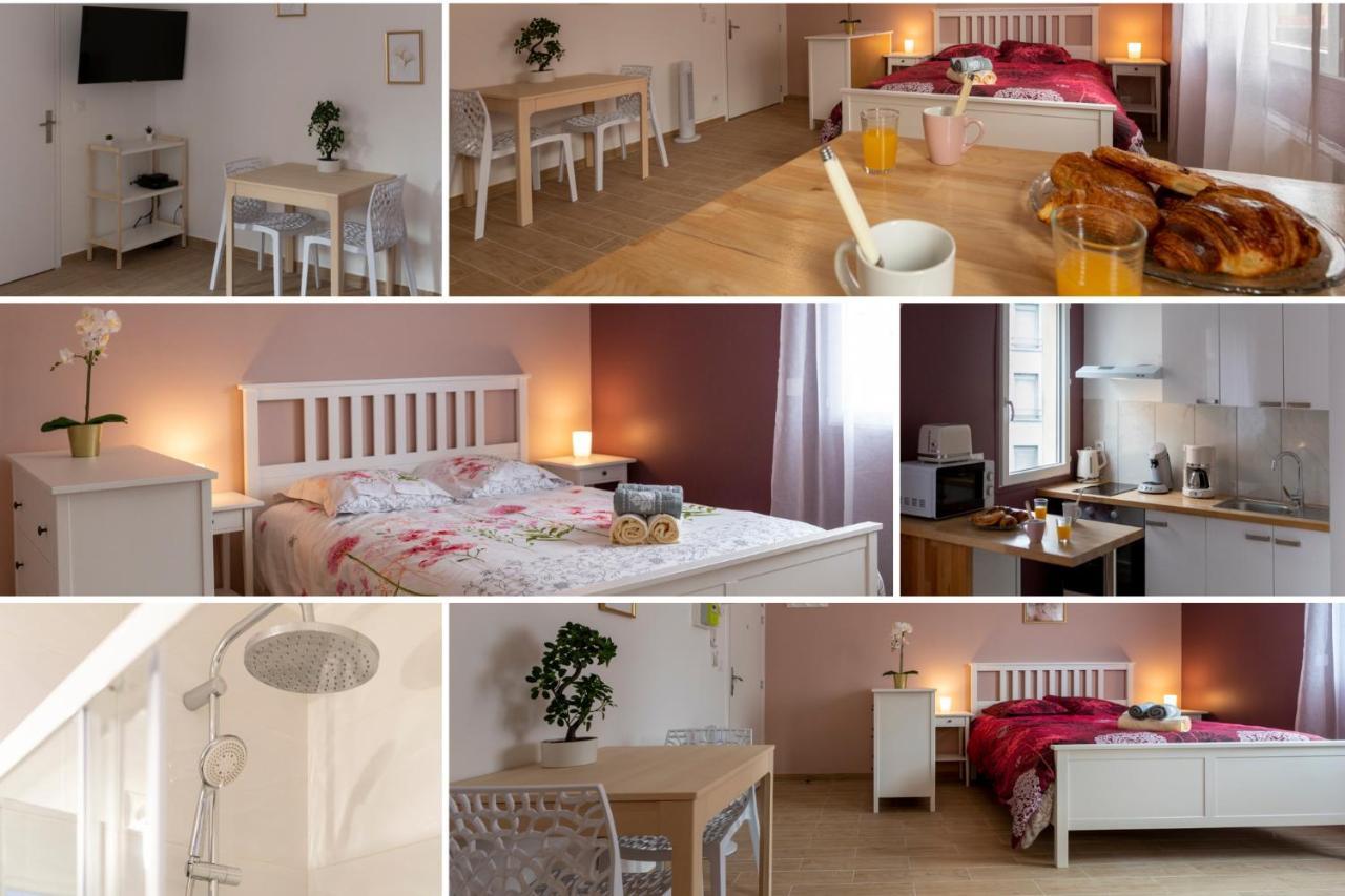 Loc Trotteur Le Pivoine Studio Grand Confort, Gare Sncf De 卢德 外观 照片