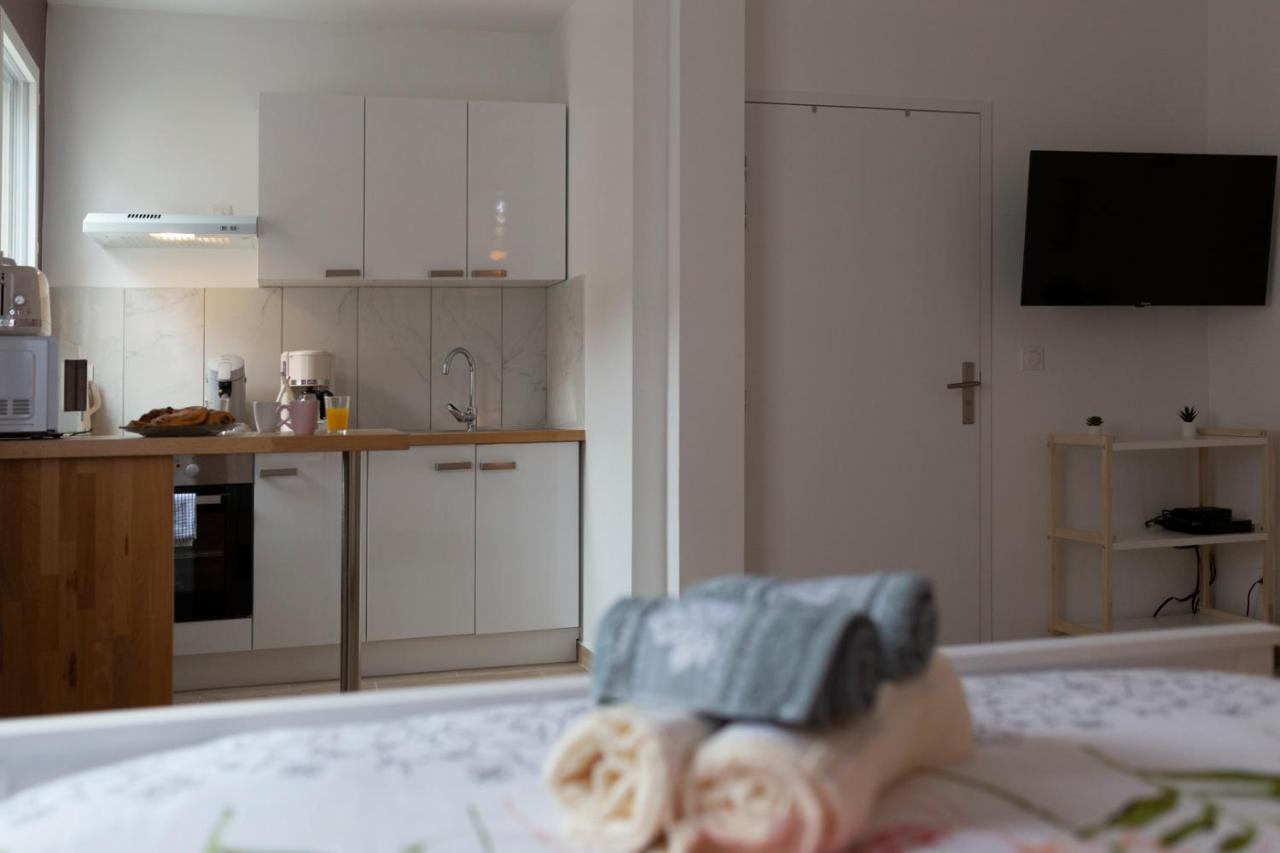 Loc Trotteur Le Pivoine Studio Grand Confort, Gare Sncf De 卢德 外观 照片