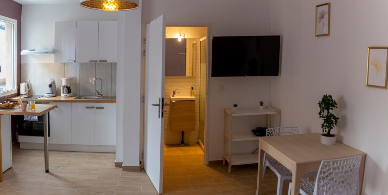 Loc Trotteur Le Pivoine Studio Grand Confort, Gare Sncf De 卢德 外观 照片